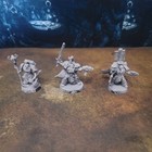 Horus Heresy Space Wolves Lot  Vargyr  Deathsworn  Rune Caster  Praetors   More 
