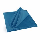 Cupuamon 17x17  Washable Polyester Dinner Napkins Soft Table Napkins Blue