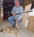 Authentic Coyote Teeth Earrings Handcrafted By Larry Gerhardt  For Pierced Ears