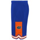 Outerstuff Ncaa Kids  4-7  Florida Gators Stated Shorts