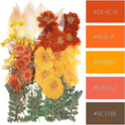 100 Pcs Real Dried Pressed Flowers Leaves Natural Plant Herbarium For Diy Resin 