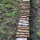 Cottonwood Bark For Carving 11    Or Less Free Priority Shipping