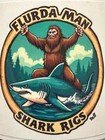 Shark Fishing Leader Rig 20 0 Forged Circle Hook 20  800lb Mono 40    Blue Steel