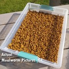22lbs Bulk Dried Mealworms Non-gmo Wild Bird Blue Bird Food Chickens Hen Treats