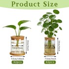 4 Set Glass Plant Propagation Station For Plants - 2 Large   2 Small For Plan   