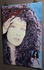 Cher   Poster Original 1987    cher    Album Release Record Store Promo 23x35 Inches