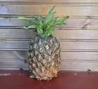 Realistic Large Pineapple Decor Fake Artificial Fruit Life Size 