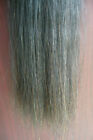 1pc Original Black Horse Show Tail Hair Extension 70-76cm 170grams