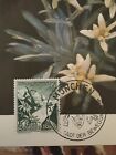 1939 Leontopodium Alpinum  Third Reich Postcard