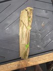 British Enfield No  9 Mk 1 Bayonet In Original Cosmoline Mummy Wrap Nos