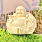 1pc Natural Crystal Tagua Nut Buddha Statue Carving Healing Energy Reiki Random