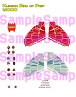 Star Trek Klingon Bird Of Prey Supplemental Decals  1 350 Or 1 1000 