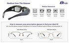 Birdz Eyewear Swallow Motorcycle Riding Fit Over Rxable Glasses Clear Anti Fog
