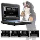 Usa Veterinary Laptop Machine Ultrasound Scanner Rectal Probe For Horse cow  Vet