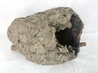 Bald Faced Hornet Nest With Tree Limb