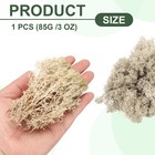 3oz Preserved Reindeer Moss  Brown Decorative Artificial Fake Moss