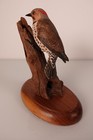 Vintage Hand Carved And Painted Wooden Bird Northern Flicker On Driftwood Base