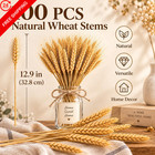 Sukh 100 Stems Dried Wheat Stalks - Boho Fall Decor 13 39in  Primary Color