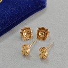 Tous Mini Bear Earrings Gold Cute Jewelry Accessories Luxury Gift F368