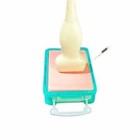 Ultrasound Vascular Access Phantom Training Model-requires Fluid  water 