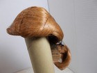 Global Dolls Doll Wig Carmen Carrot Red Long Hair Size 9-10  New