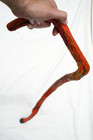 Collector Cane American Fine Art Walking Stick Folk Artist Jr Charlie Fast Ooak