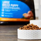 Pro  Large Breed Puppy Recipe Dry Dog Food  30 Lb