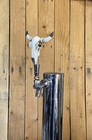Bull Skull Beer Tap Handle Mini Pull Knob Texas Longhorns Cattle Cow Farm
