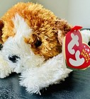 Ty Beanie Baby - Sampson The Puppy Dog 7 5  New Mwmts Plush Stuffed Animal Toy