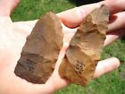 Paleo Blade Cache Deep South Artifact Arrowhead Spear Knife Tool Florida Georgia
