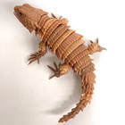    used    Bandai Gashapon Dango-mushi 07 Action Figure Armadillo Lizard Normal 18cm