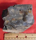 Petrified Wood Specimen 2 Lbs 