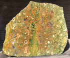 Rainforest Jasper Rhyolite Australia 5 5 x4 75 Jasper Agate Lapidary Rough Slab
