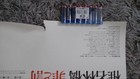 Ringo Sheena   Crime And Punishment 2000 Japan Original Promo Poster B2 20x28in