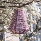 Allsop Prism Lantern- Metallic Orchid 10 x11 