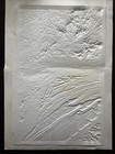 Hubbard Scientific Rome Ga Georgia Regional Series 3d Raised Relief Map Unframed