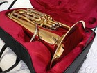 Wessex Ep110p Bb Professional Compensated Euphonium  dolce Fortissimo 