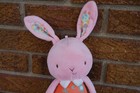 Baby Plush Bunnies By The Bay Pink Rabbit Orange Flowers Lovey Toy Soft Doll 