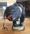 Antique Black Teddy Bear On Wood Base With Turning Head Tail Mechanism Toy