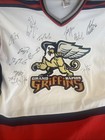 Grand Rapids Griffins Team Signed Ahl Jersey Size Large