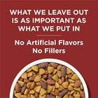 Purina Dog Chow Complete Adult Dry Dog Food  High Protein Real Beef  44 Lb Bag