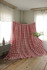 Curtain Vichy Check Fabric Pink   White Antique French 1700 s C1750-1800 Textile