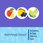 Polar Seltzer Water Newbies Variety Pack  12 Fl Oz 216 Fl Oz  pack Of 1 