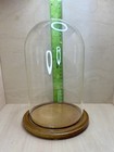 Vtg Display Case Cloche Glass Dome 9 Inches Tall 5 5 Inch Diameter    oak    Mdf