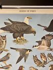Vint  Pennsylvania Bird Chart Birds Of Prey Orig  Chart Art By Ned Smith