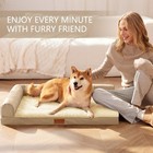 Orthopedic Dog Bed Large Sized Dog 36  x24   Waterproof L Bolster Medium Pet