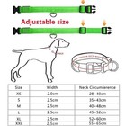 Pet Led Light-up Glow-in-the-dark Usb Rechargeable Collar Dog  Safety Night 