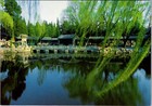 Vintage Card Continental Garden Harmonious Interest Summer Palace Beijing China