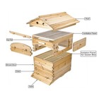 Auto Draining Honey Beehives Cedar Wood Bee House Beekeeping Box Honey House New