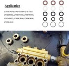 5019006400 Packing Kit Seal Repair Kit For Comet Pump Zwd2530g Zwd3030g Zwd4030g